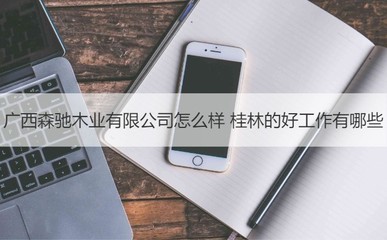廣西森馳木業評價與桂林優質工作機會及工藝美術品收藏品零售行業前景